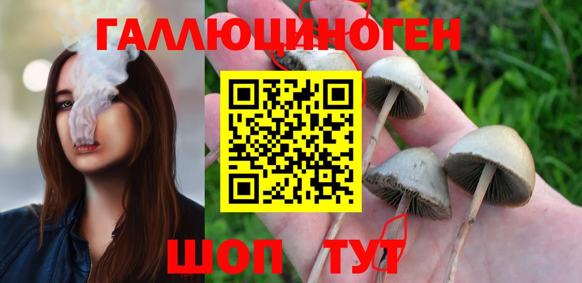 Нижнекамск  Галлюциногенные грибы MAGIC MUSHROOMS  Вход с VPN 